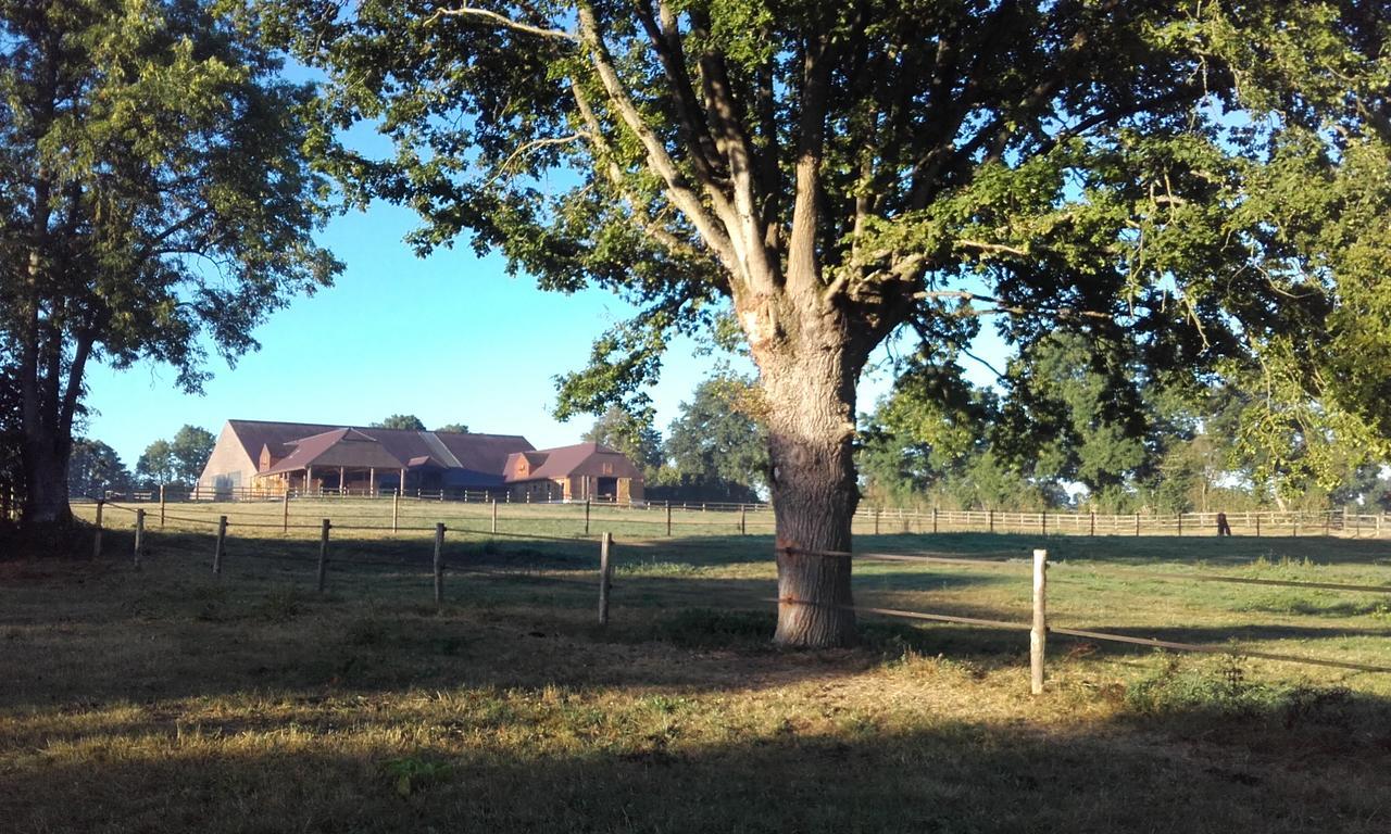 Les Gites Haras Del Paradiso Boitron Exterior foto
